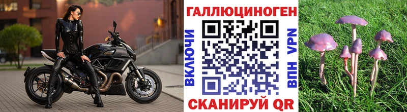 Псилоцибиновые грибы GOLDEN TEACHER  кракен ссылки  Менделеевск 
