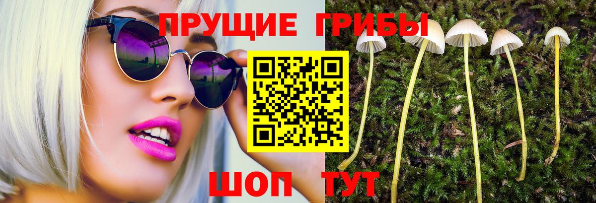 Псилоцибиновые грибы прущие грибы Менделеевск