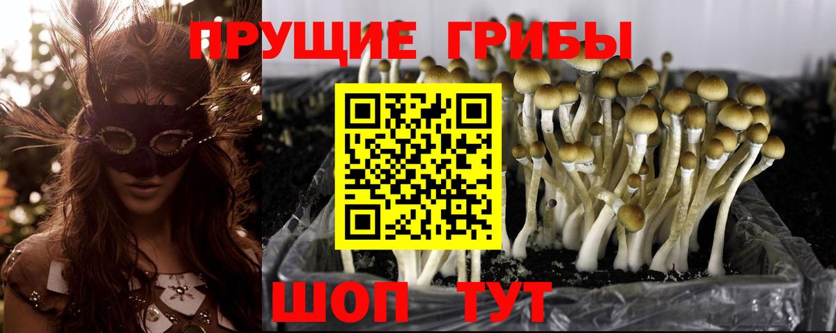 Галлюциногенные грибы Magic Shrooms  цены наркотик  Менделеевск  Псилоцибиновые грибы ЛСД  Вход с VPN 